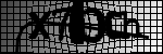 Text per identificar