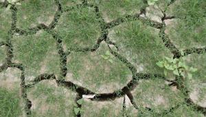 7. Versión consolidada de 7 de enero de 2025 para informe en el Consejo del Agua (15/01/2025)