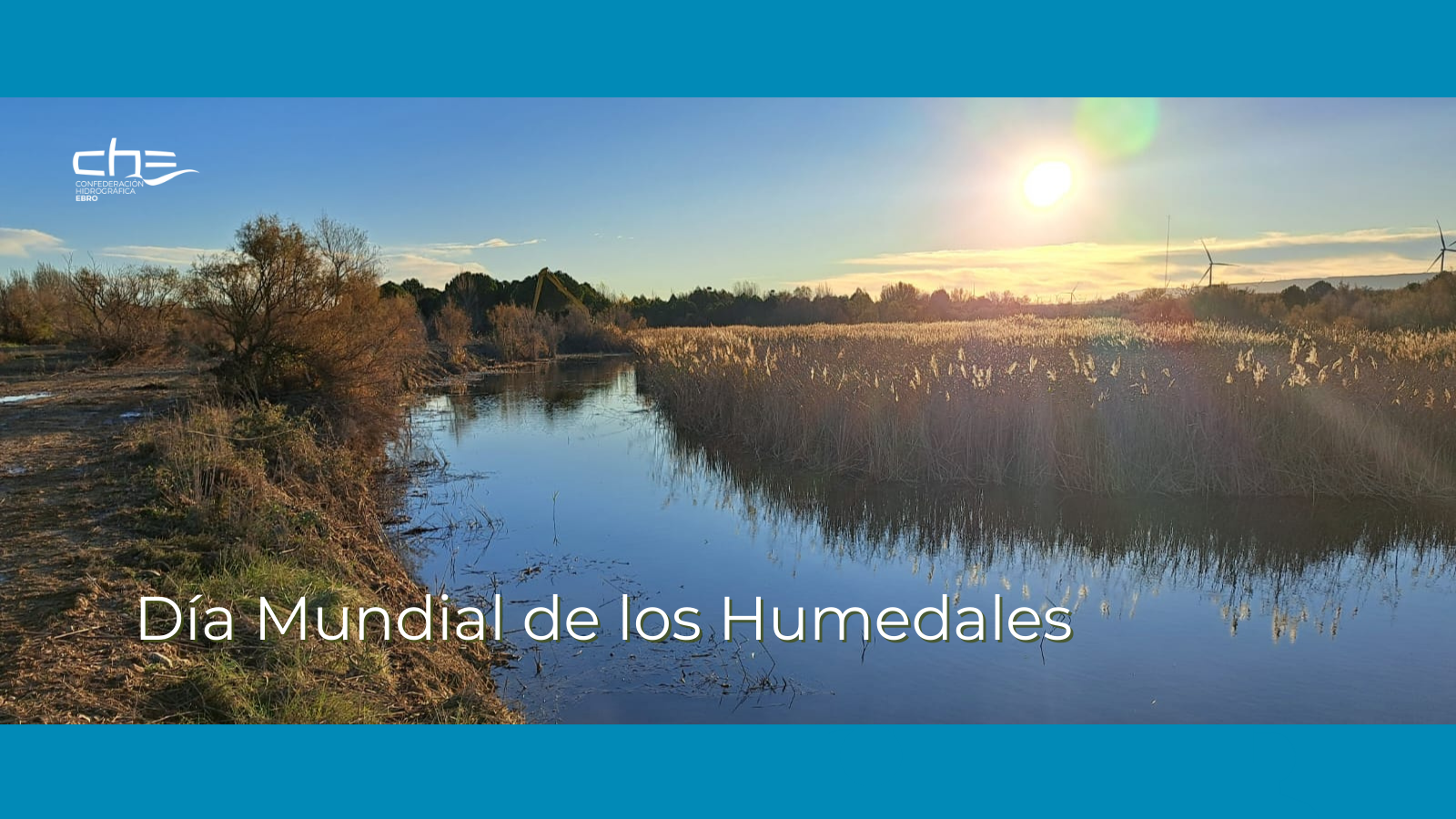 Imagen noticia - El Día Mundial de los Humedales